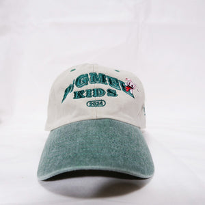 COLLEGE LOGO CAP