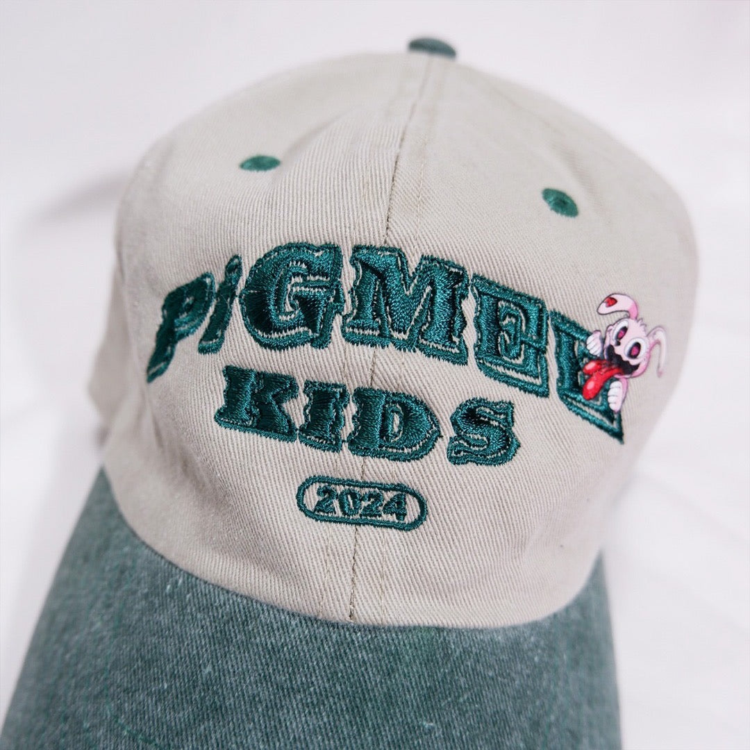 COLLEGE LOGO CAP