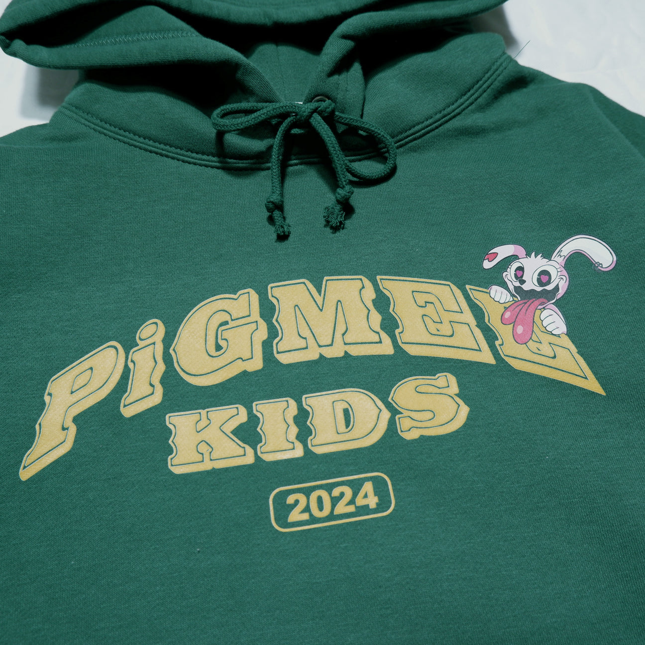COLLEGE LOGO HOODIE