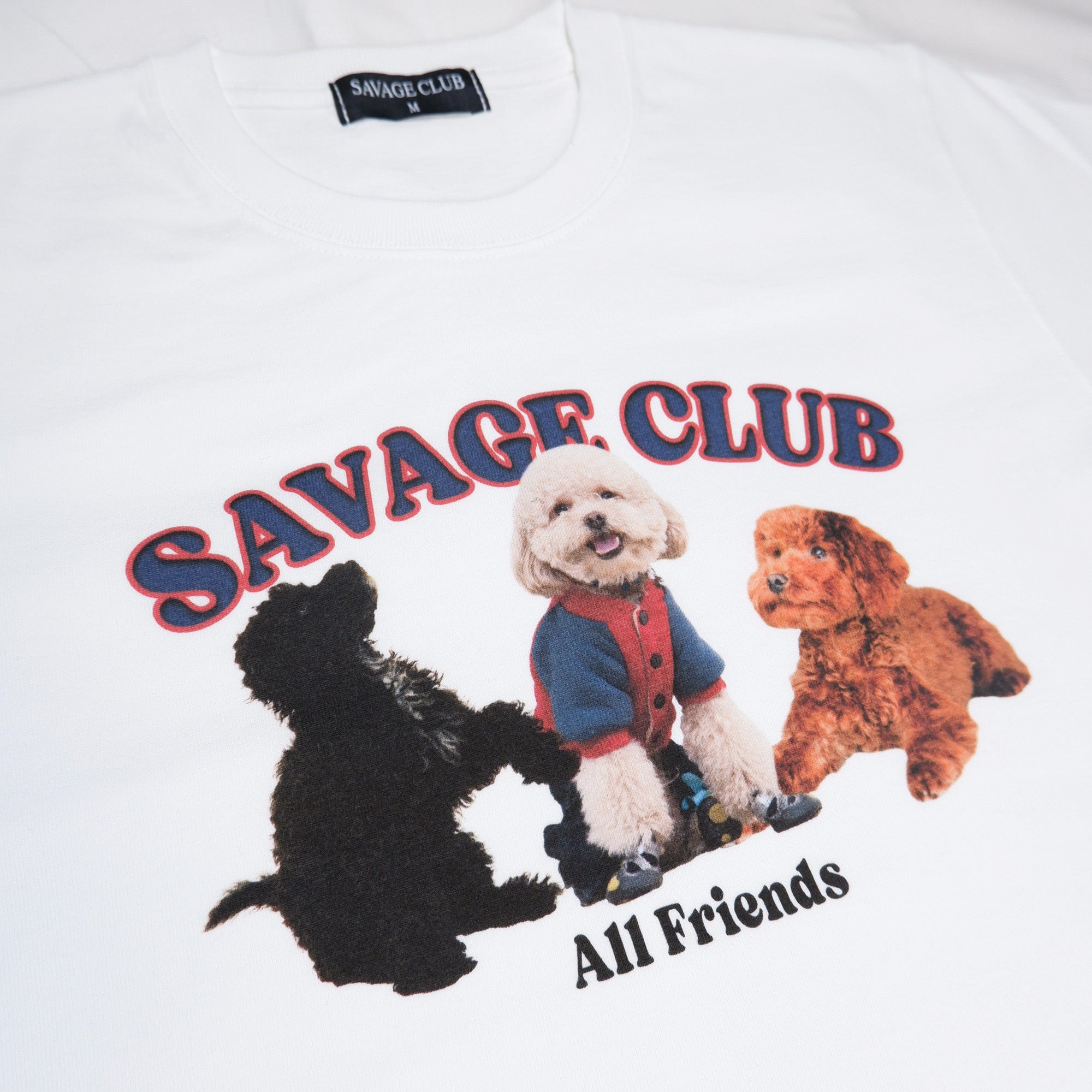 Toy poodle TEE