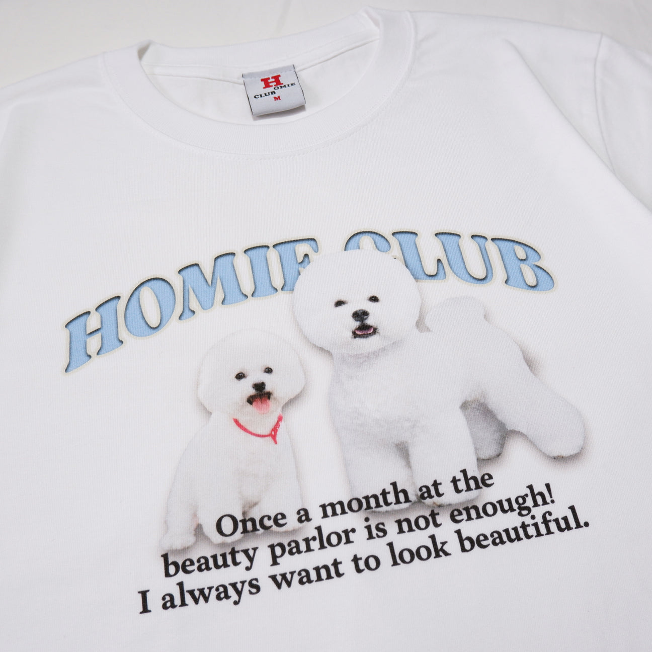 CLASSIC TEE  マルチーズ